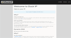 Desktop Screenshot of duckip.info